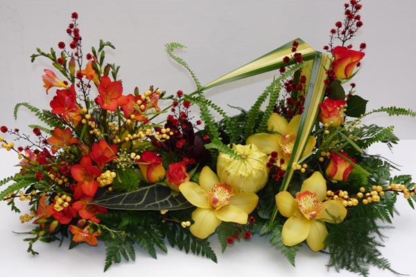 engrais orchidée chez votre fleuriste Plant center fleurs à Marsannay la  côte en livraison ou clic&collect